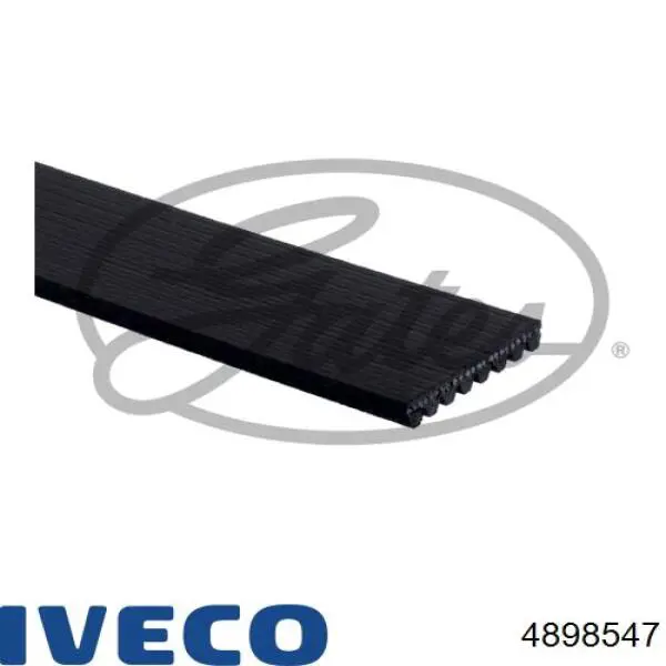 Correia dos conjuntos de transmissão 4898547 Iveco