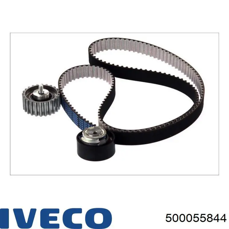 Compre 500055844 Iveco Correia do mecanismo de distribuição de gás, kit