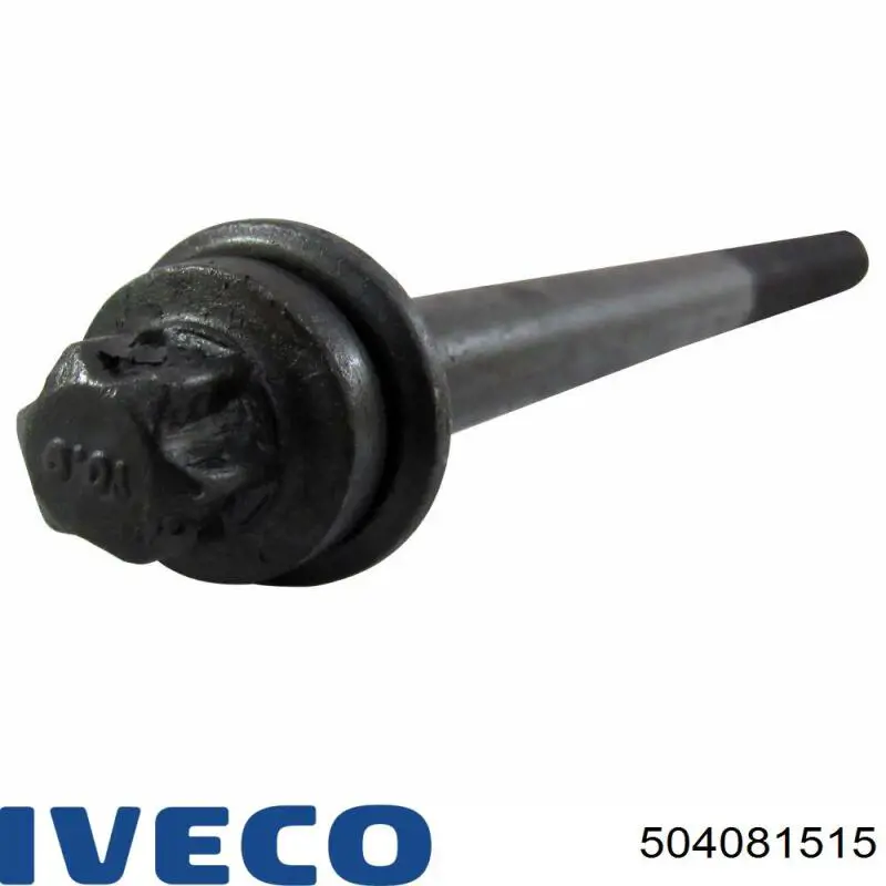 504081543 Fiat/Alfa/Lancia Parafuso de cabeça de motor (CBC)