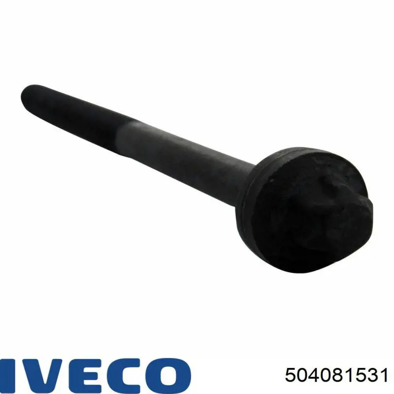 00000204C6 Peugeot/Citroen Parafuso de cabeça de motor (CBC)