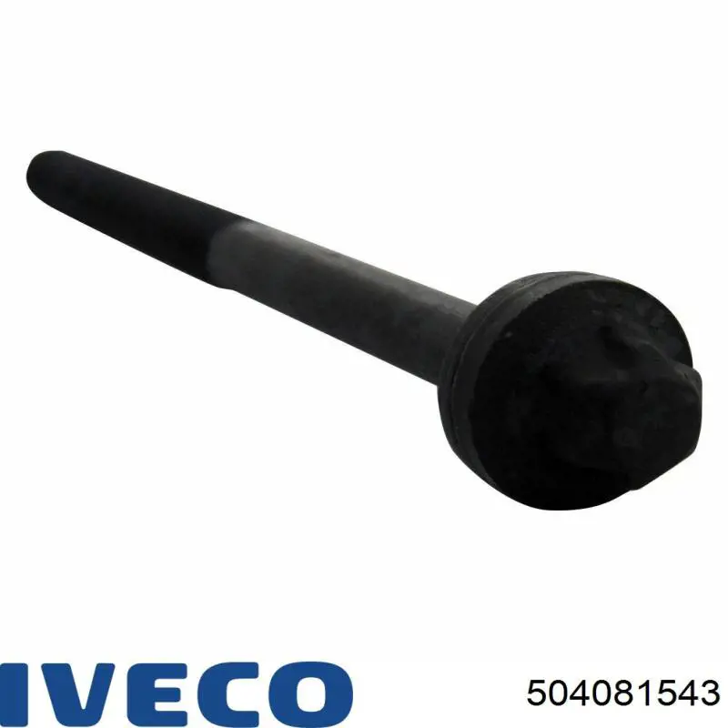 Compre 504081515 Fiat/Alfa/Lancia Parafuso de cabeça de motor (CBC)
