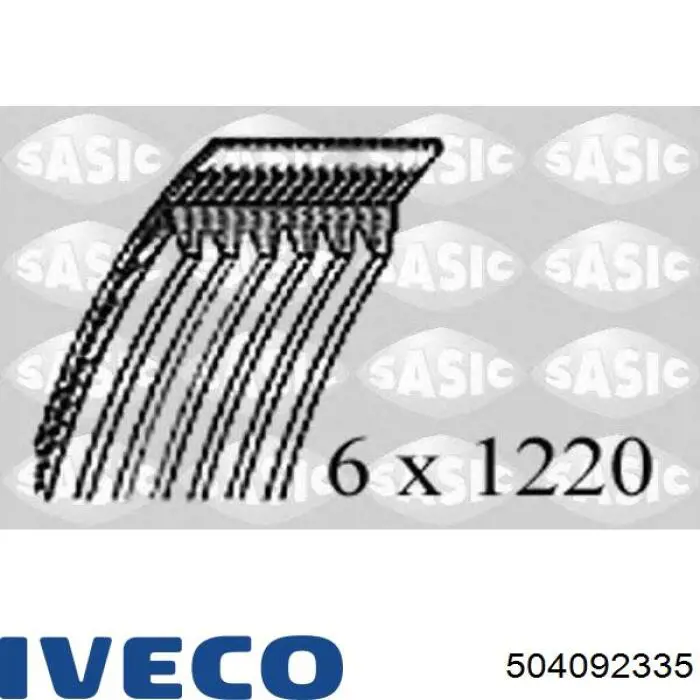 Correia dos conjuntos de transmissão 504092335 Iveco
