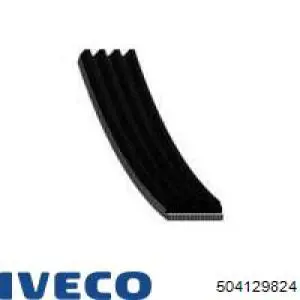 504129824 Iveco Correia dos conjuntos de transmissão