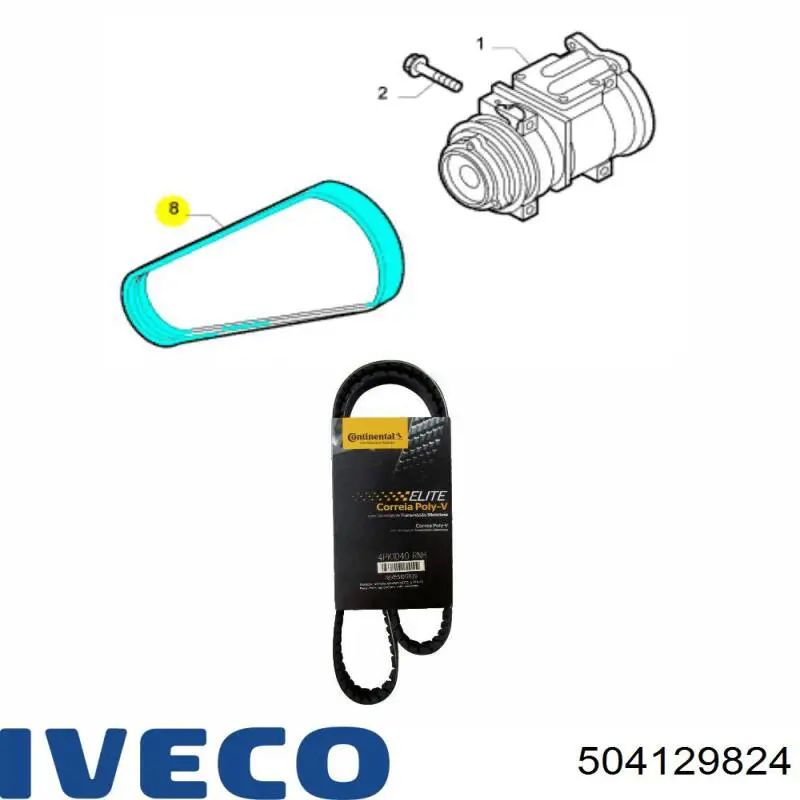 Correia dos conjuntos de transmissão 504129824 Iveco