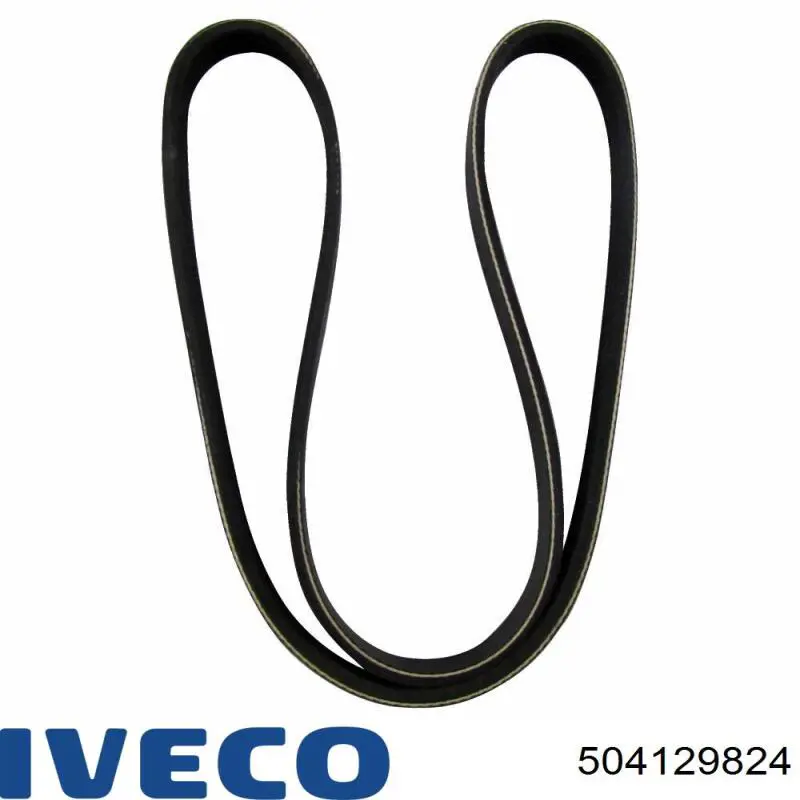 Compre 504129824 Iveco Correia dos conjuntos de transmissão