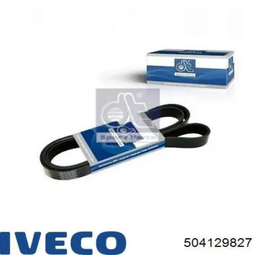 Correia dos conjuntos de transmissão 504129827 Iveco