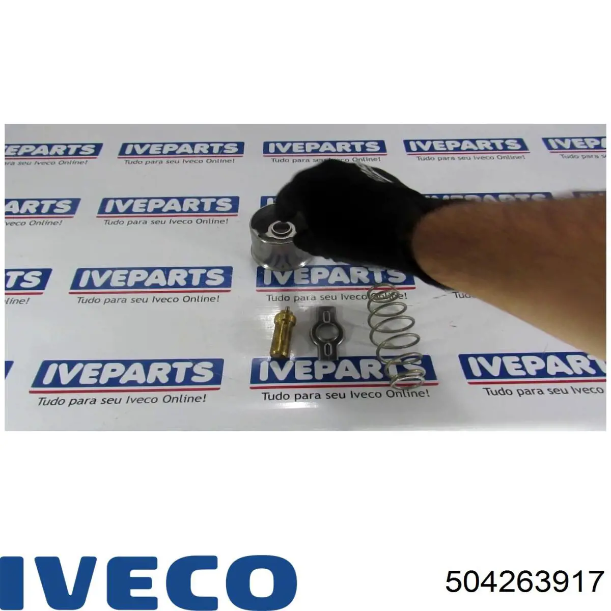 Compre 451279 Le.ma. Termostato