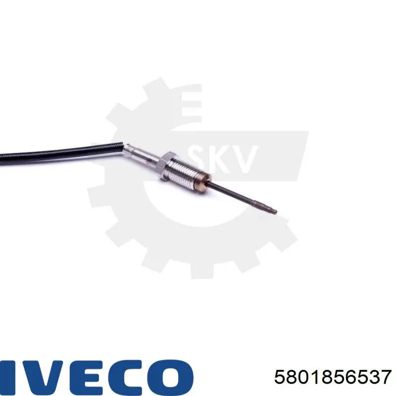 Compre 5801856537 Iveco Sensor de temperatura dos gases de escape (GE), até o catalisador