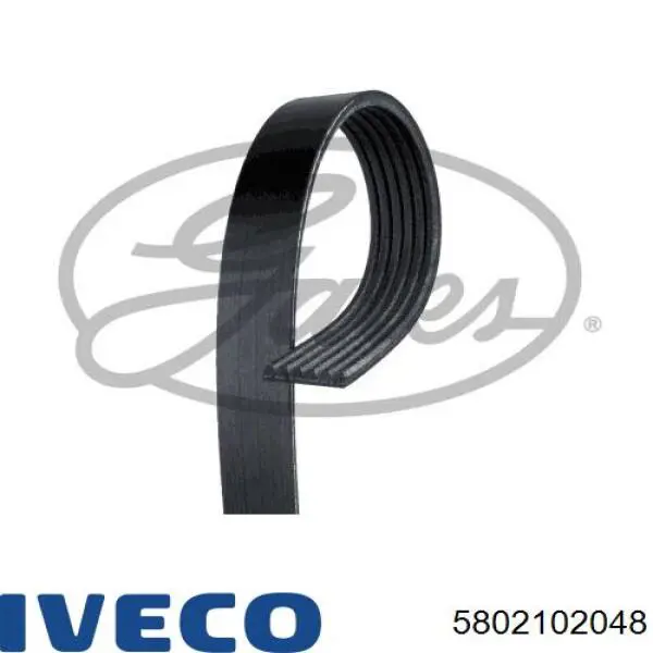 Correia dos conjuntos de transmissão 5802102048 Iveco