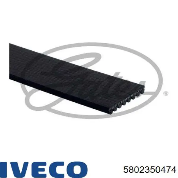 Correia dos conjuntos de transmissão 5802350474 Iveco