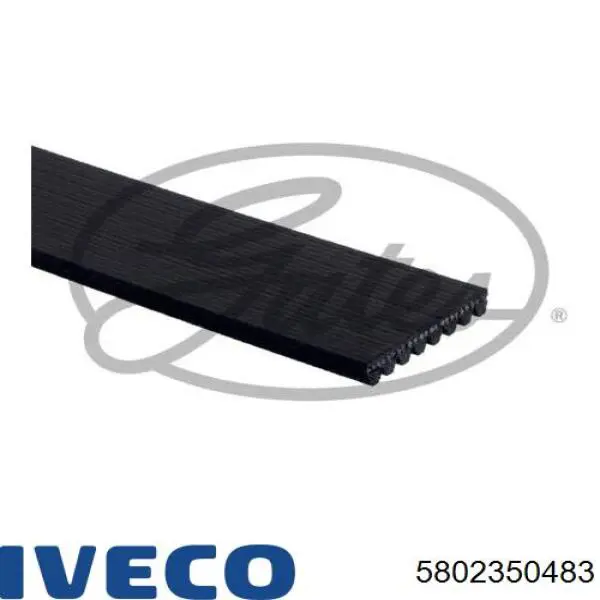 Compre 5802350483 Iveco Correia dos conjuntos de transmissão