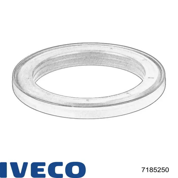 7185250 Iveco Bucim de cubo traseiro