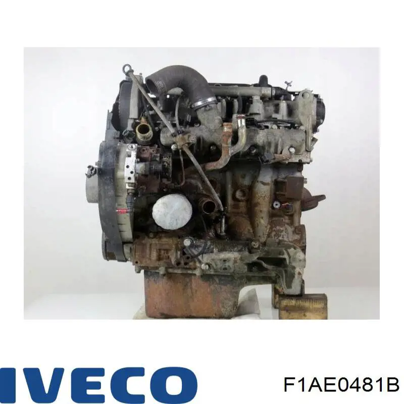 F1AE0481B Iveco Motor montado