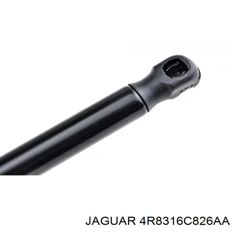 Compre XR8316C826AA Jaguar Amortecedor da capota