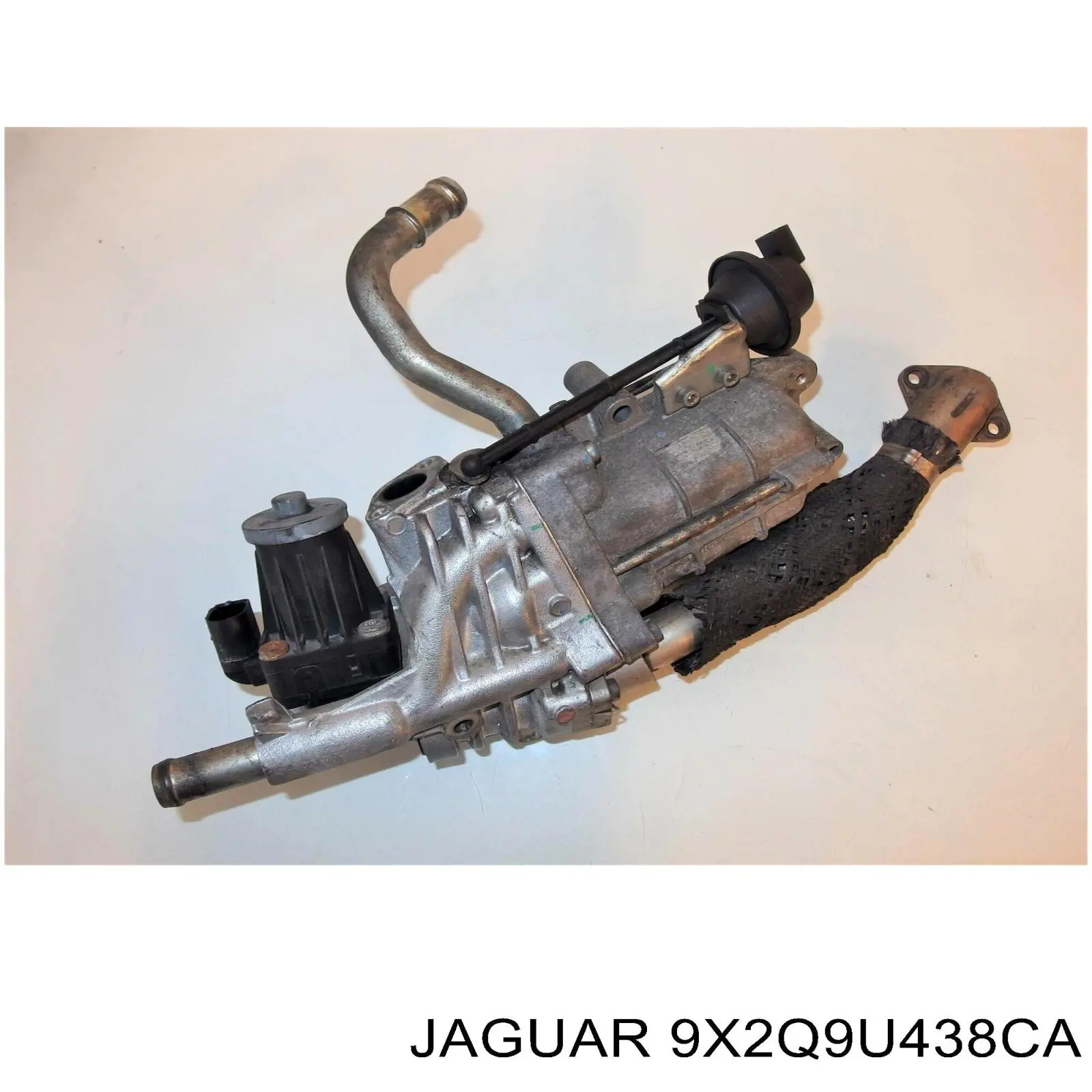 Compre 9X2Q9U438CA Land Rover Válvula segura EGR, de recirculação dos gases