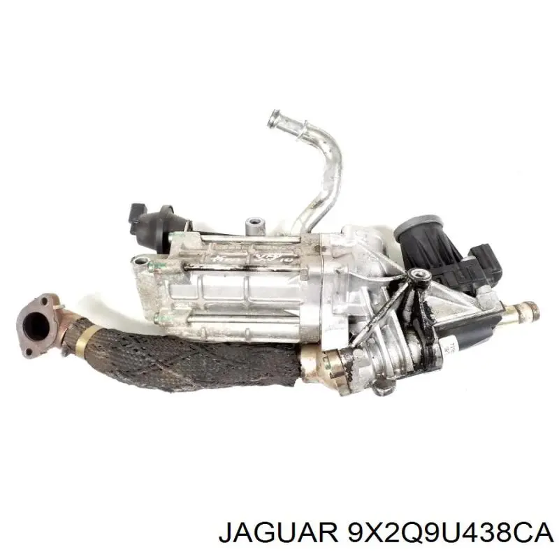 9X2Q9U438CA Land Rover Válvula segura EGR, de recirculação dos gases