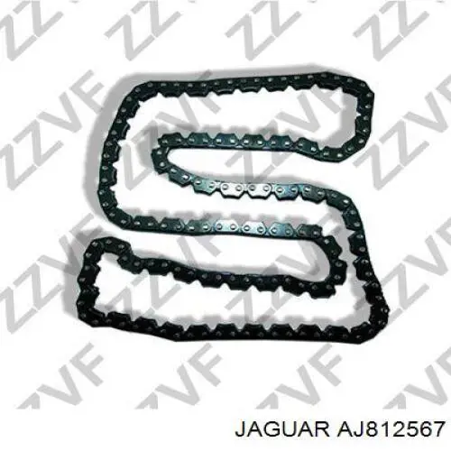 Cadeia do mecanismo de distribuição de gás AJ812567 Jaguar