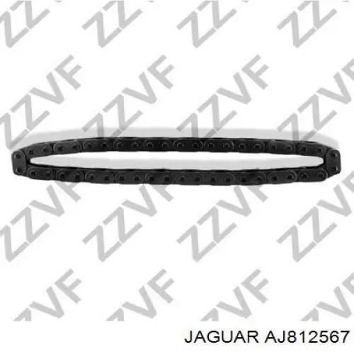 Cadeia do mecanismo de distribuição de gás Jaguar AJ812567 preço, a partir de 51,02 USD