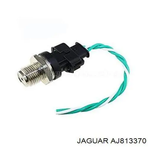 Compre AJ813370 Jaguar Distribuidor de combustível (rampa)