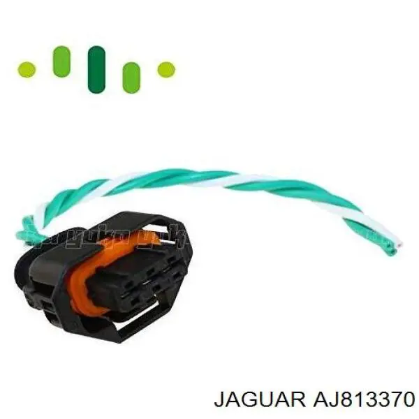 AJ813370 Jaguar Distribuidor de combustível (rampa)