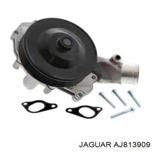 Bomba de água (bomba) de esfriamento Jaguar AJ813909 preço, a partir de 63,82 USD