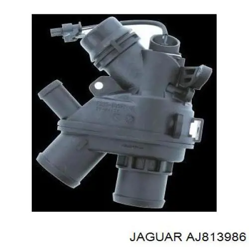AJ813902 Jaguar Caixa do termostato