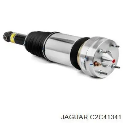 Amortecedor traseiro Jaguar C2C41341