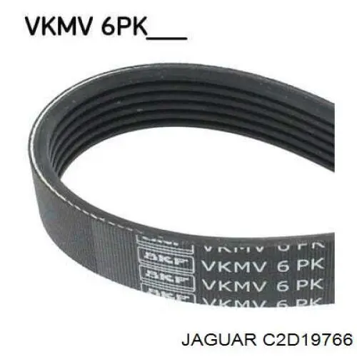 Correia dos conjuntos de transmissão, kit C2D19766 Jaguar