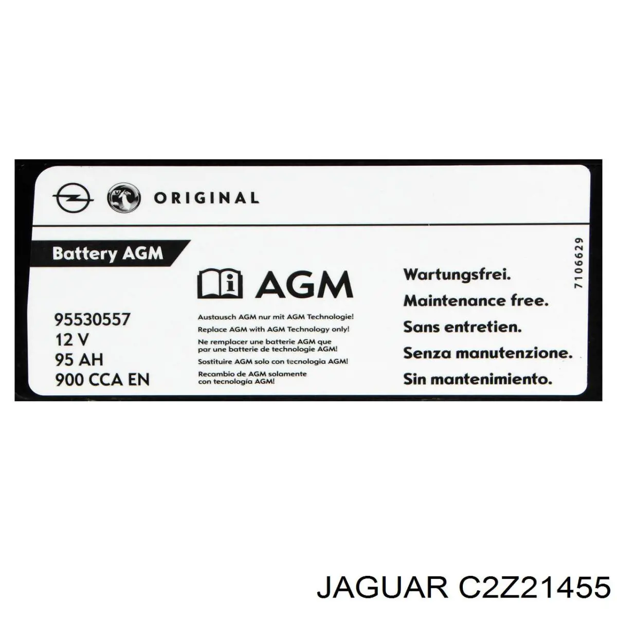  Jaguar T4A2711