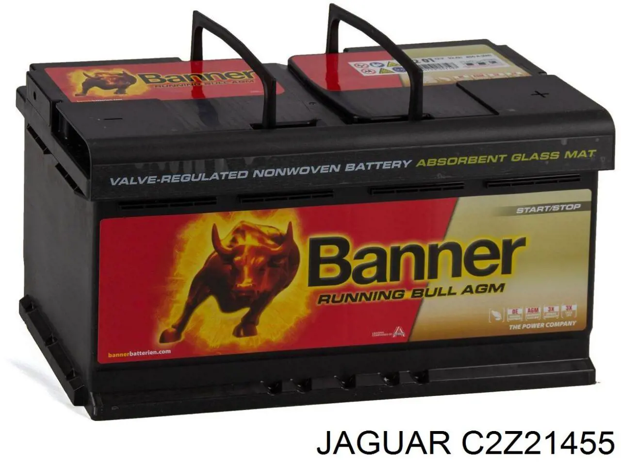 Compre T4A2711 Jaguar Bateria recarregável (PILHA)