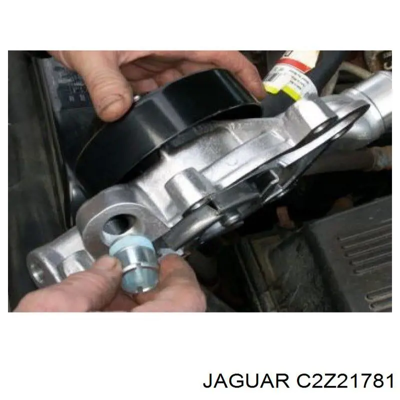 Bomba de água (bomba) de esfriamento C2Z29189 Jaguar
