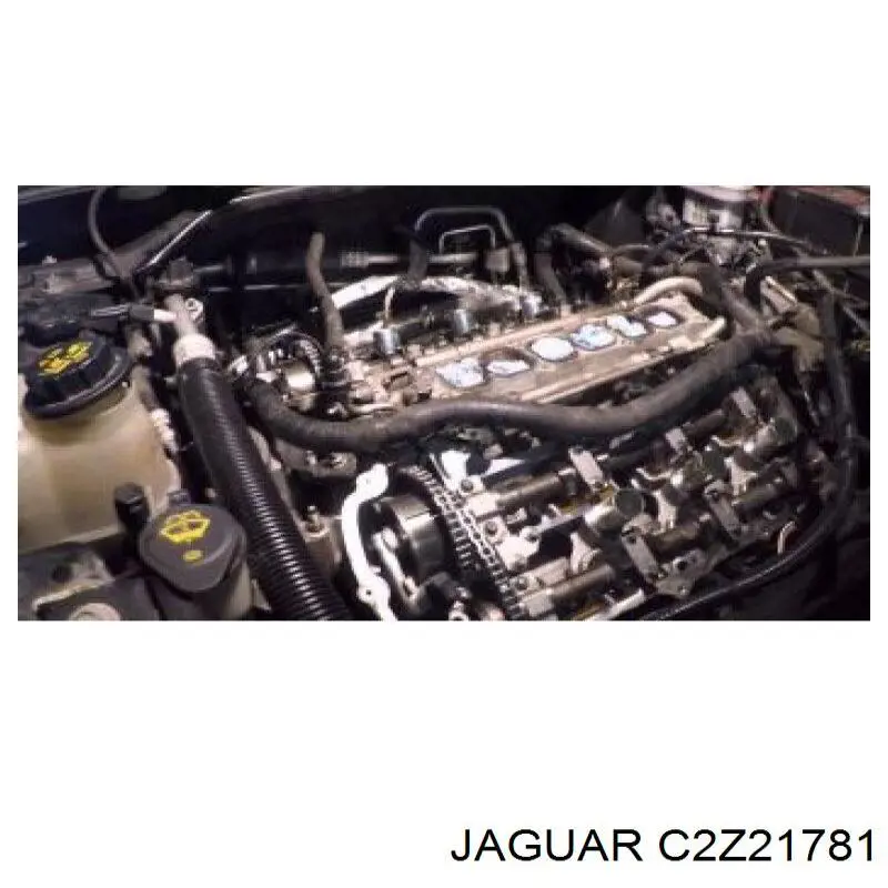  Jaguar C2Z29189