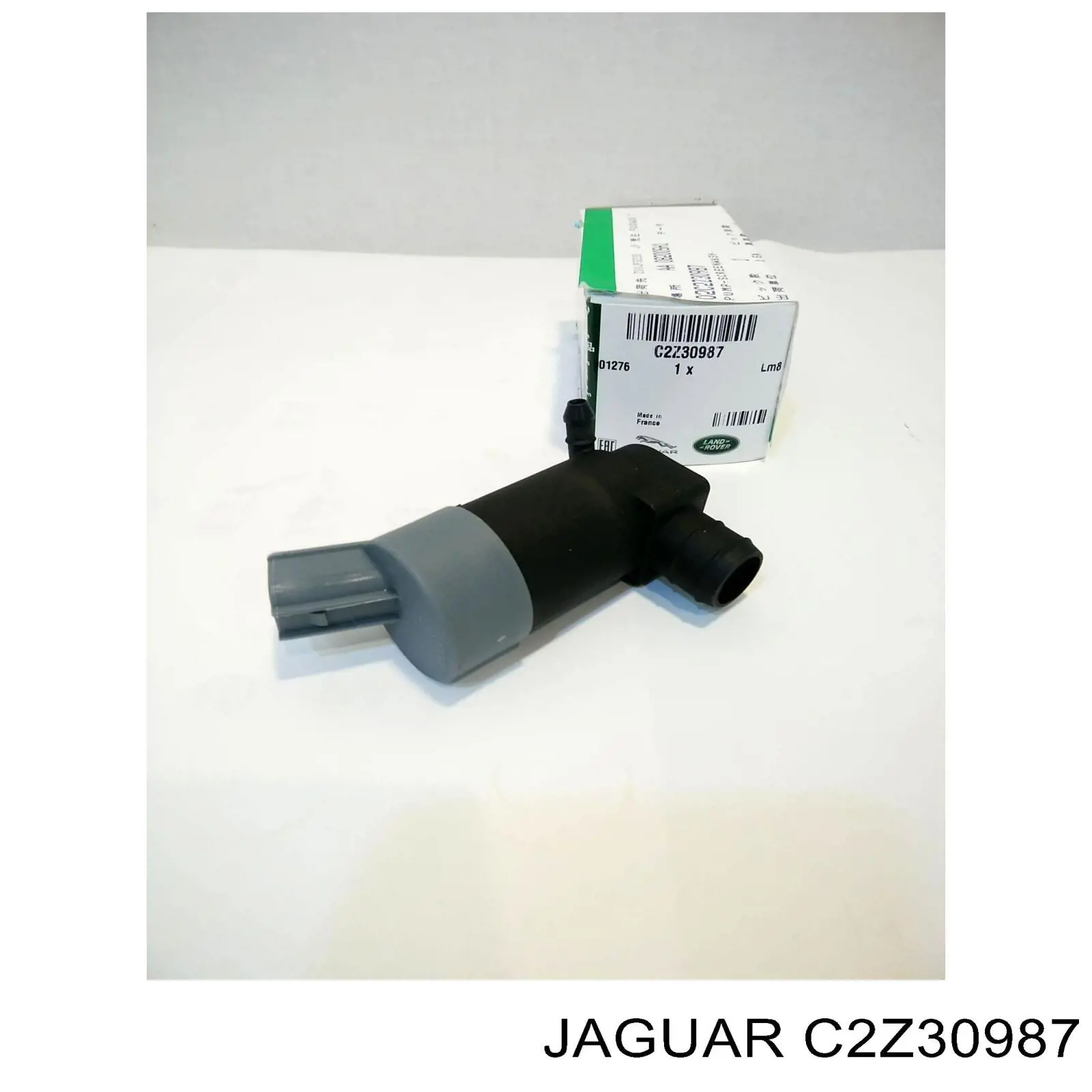  Jaguar C2Z8869