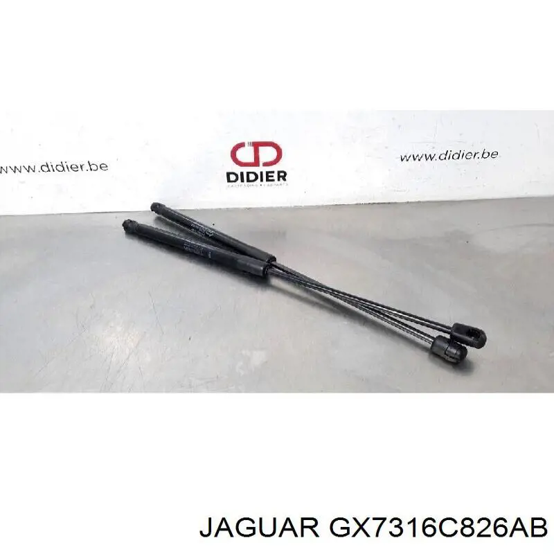 Compre 304995 Stabilus Amortecedor da capota