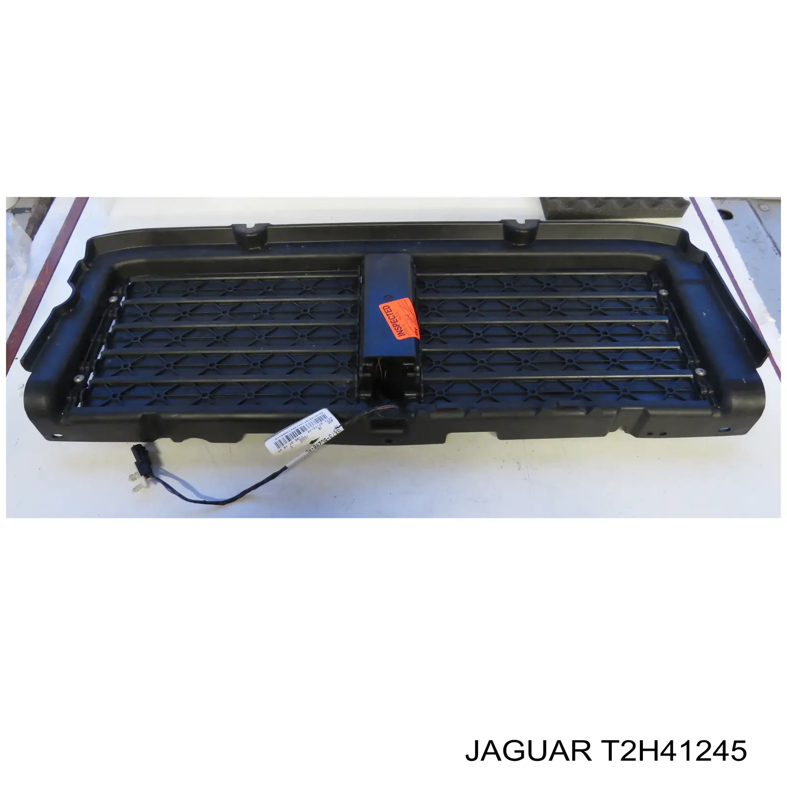  Jaguar T2H41245