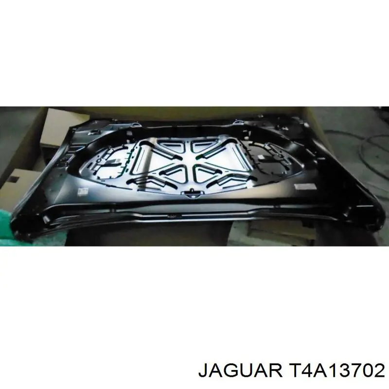T4A13702 Jaguar Capota