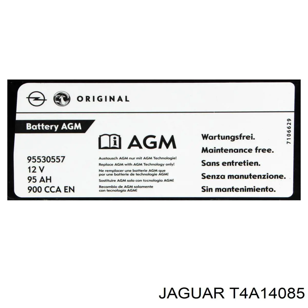 Compre T4A14085 Jaguar Bateria recarregável (PILHA)