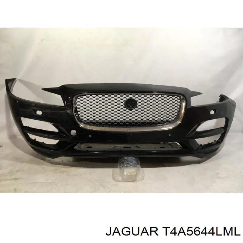 T4A5644LML Jaguar 