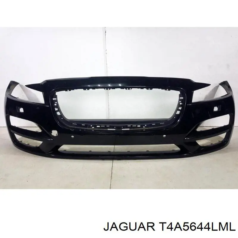  T4A5644LML Jaguar