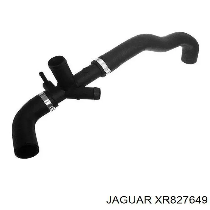  Jaguar XR827649