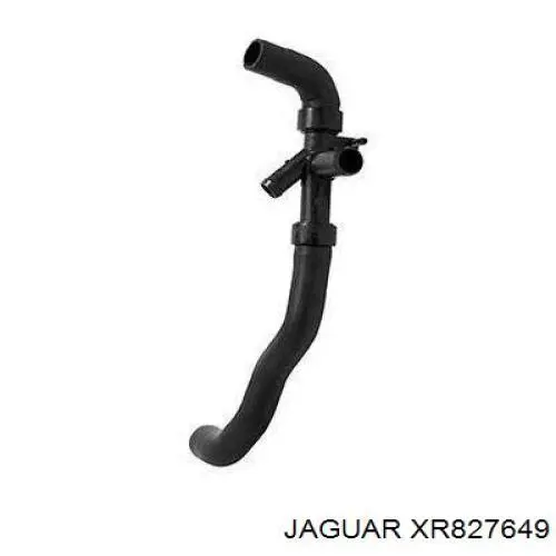 XR827649 Jaguar Mangueira (cano derivado) do radiador de esfriamento superior
