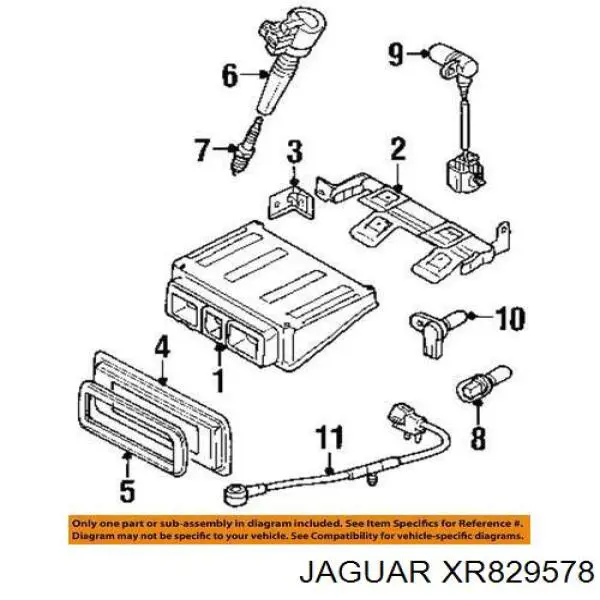 Compre XR829578 Jaguar 