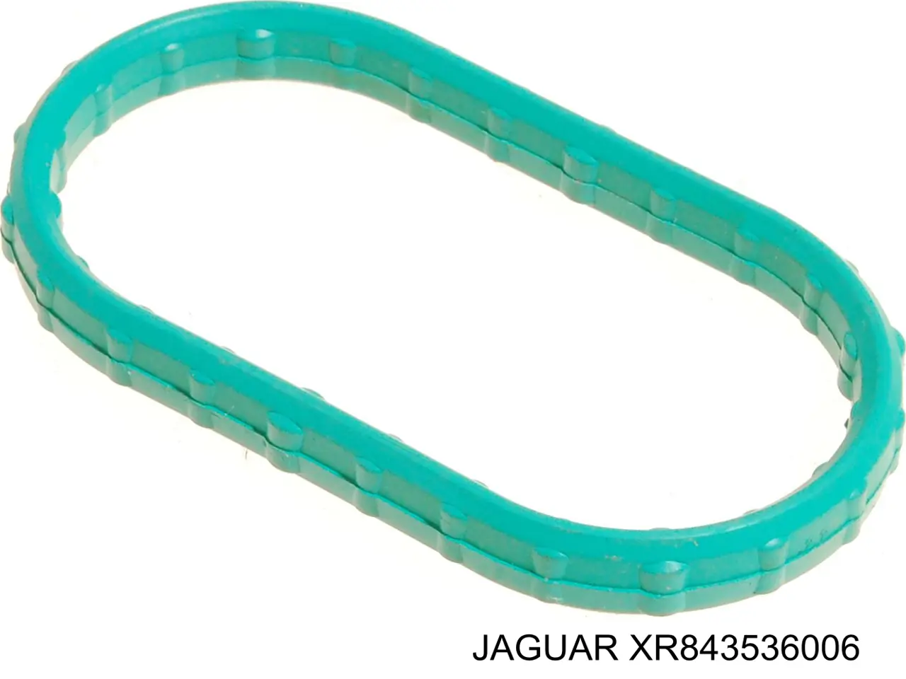 XR843536 Jaguar Vedante superior de tubo coletor de admissão