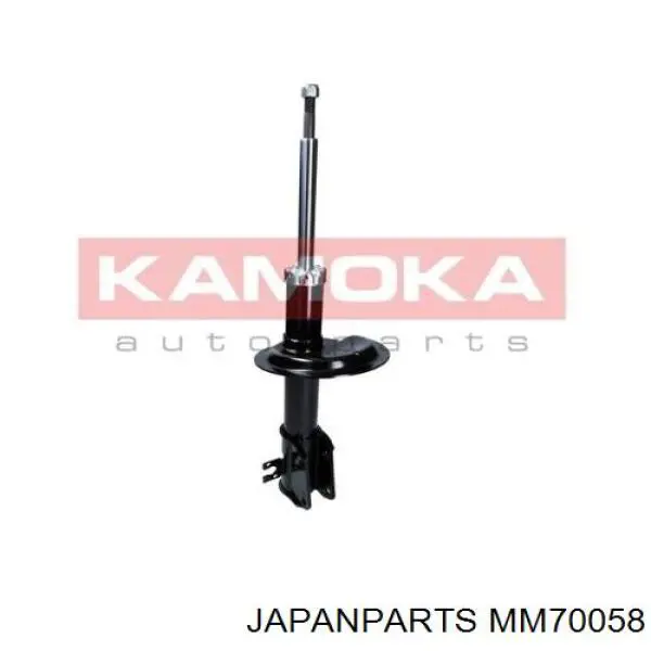 Compre RS340057 Raiso Amortecedor traseiro