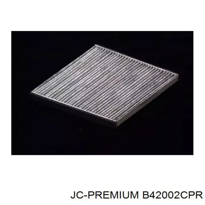 B42002CPR JC Premium Filtro de salão