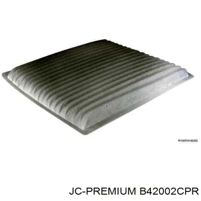 Compre B42002CPR JC Premium Filtro de salão