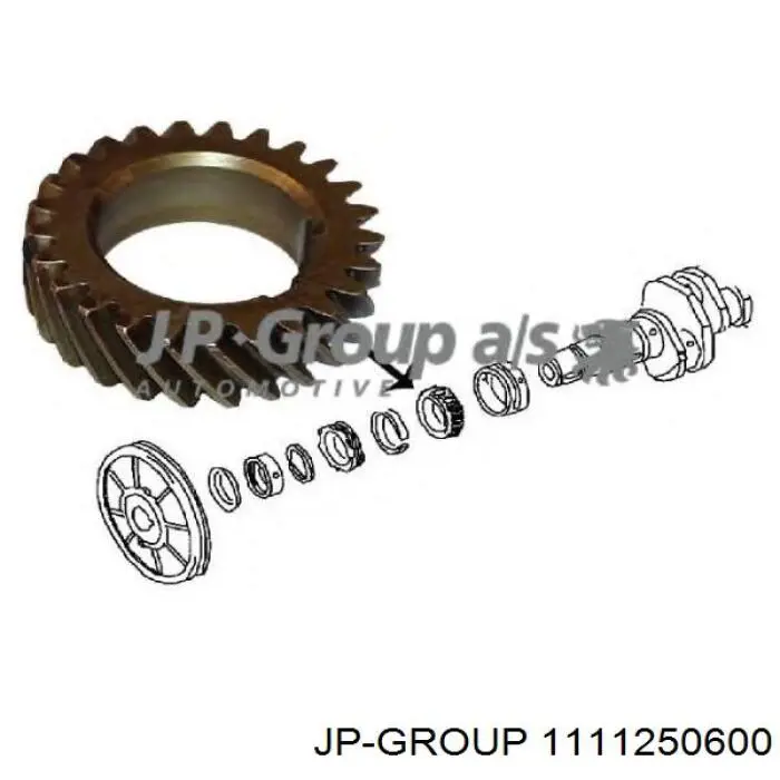 Compre 1111250600 JP Group Engrenagem de cadeia da roda dentada da árvore distribuidora de motor