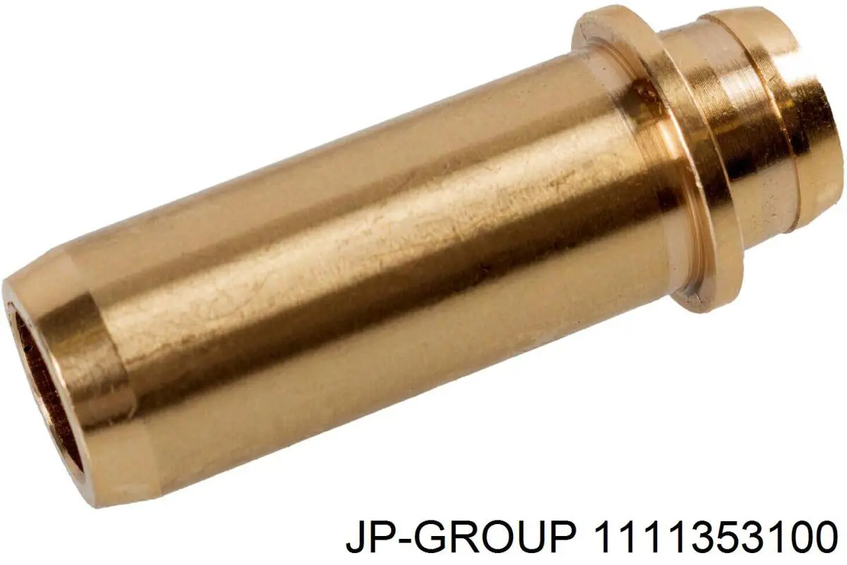 1111353100 JP Group Guia de válvula