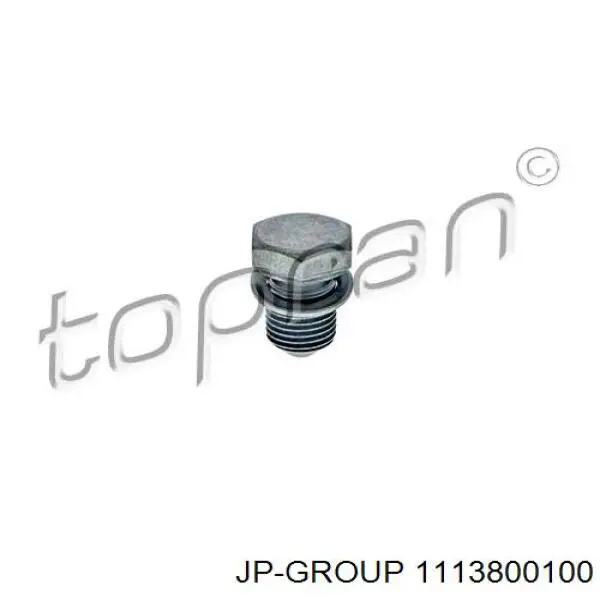Compre 1113800100 JP Group Tampão de panela de motor