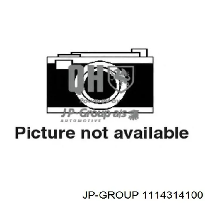 Compre 1114314100 JP Group Mangueira (cano derivado) do radiador de esfriamento superior